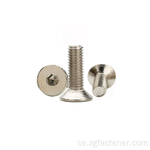 Rostfritt stål SUS316 Hex Socket Flat Head Screw